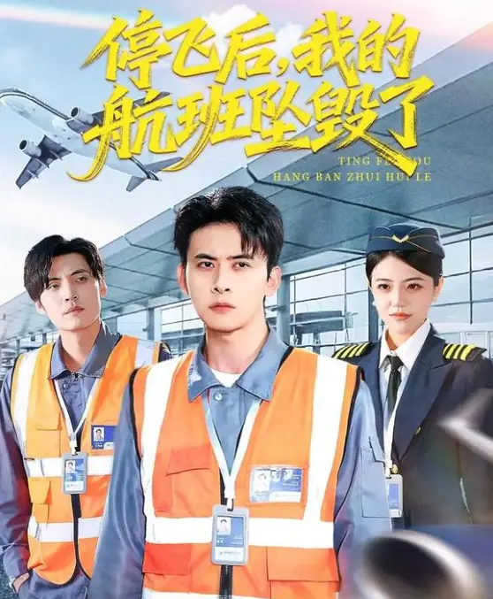《停飞后，我的航班坠毁了》-2026最新短剧全100集-4K未删减无广告-免费在线看1080P中字【停飞后，我的航班坠毁了】网盘下载