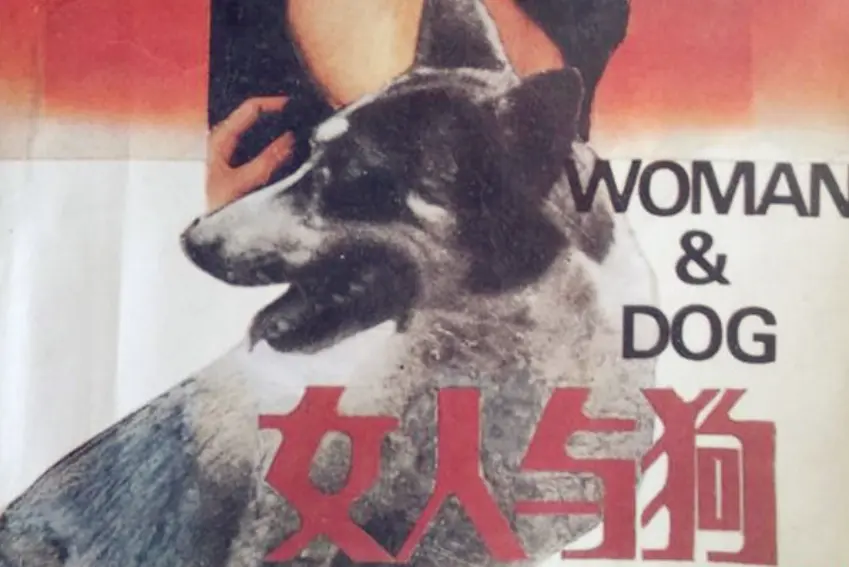 《女人与狗俄罗斯电影》HD高清无删减免费观看-晨光影院无广告-《女人与狗》全片完整版大结局一口气看完！