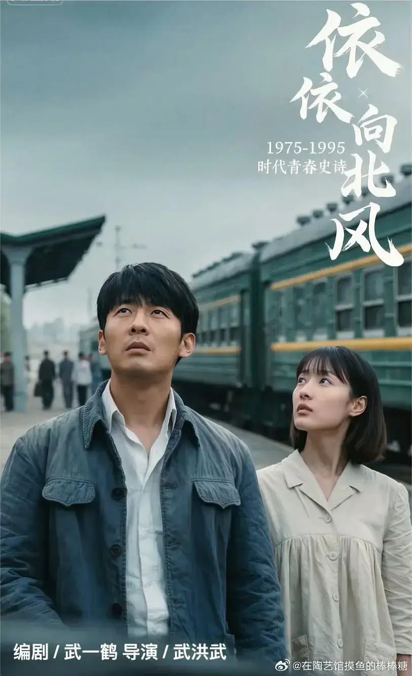 《依依向北风》中文版高清全集完整版 - 2025菅纫姿主演依依向北风免费在线看无广告 - 飘花影院