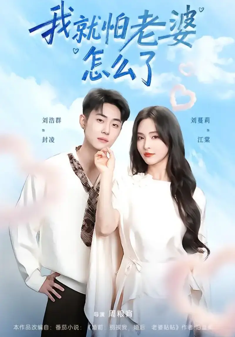 《我就怕老婆怎么了》相关资源图片