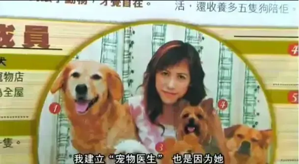 《女人与狗》中字无删减免费观看 完整正片全集在线播 - 欧美电影《女人与狗》1080P超清播放 - 无广告舒适观影 - 网盘资源一键保存