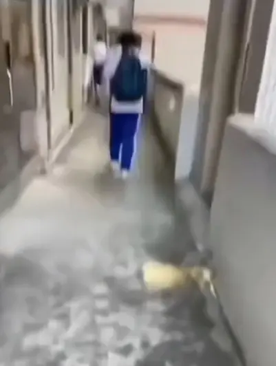 《大昌市第七中学》教室走廊现诡异身影，4K高清免费播放，同步分享大昌七中绝密调查档案，点击即看
