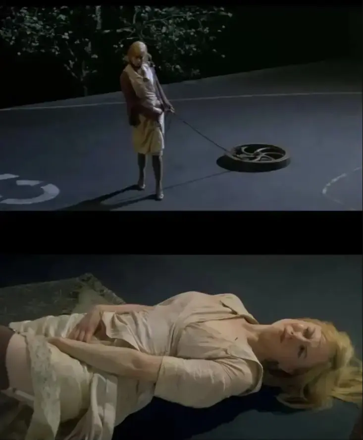 欧美电影《女人与狗》蓝光1080P中文汉化版免费在线观看，畅享沉浸式观影体验_经典欧美影片《女人与狗》无广告流畅播放