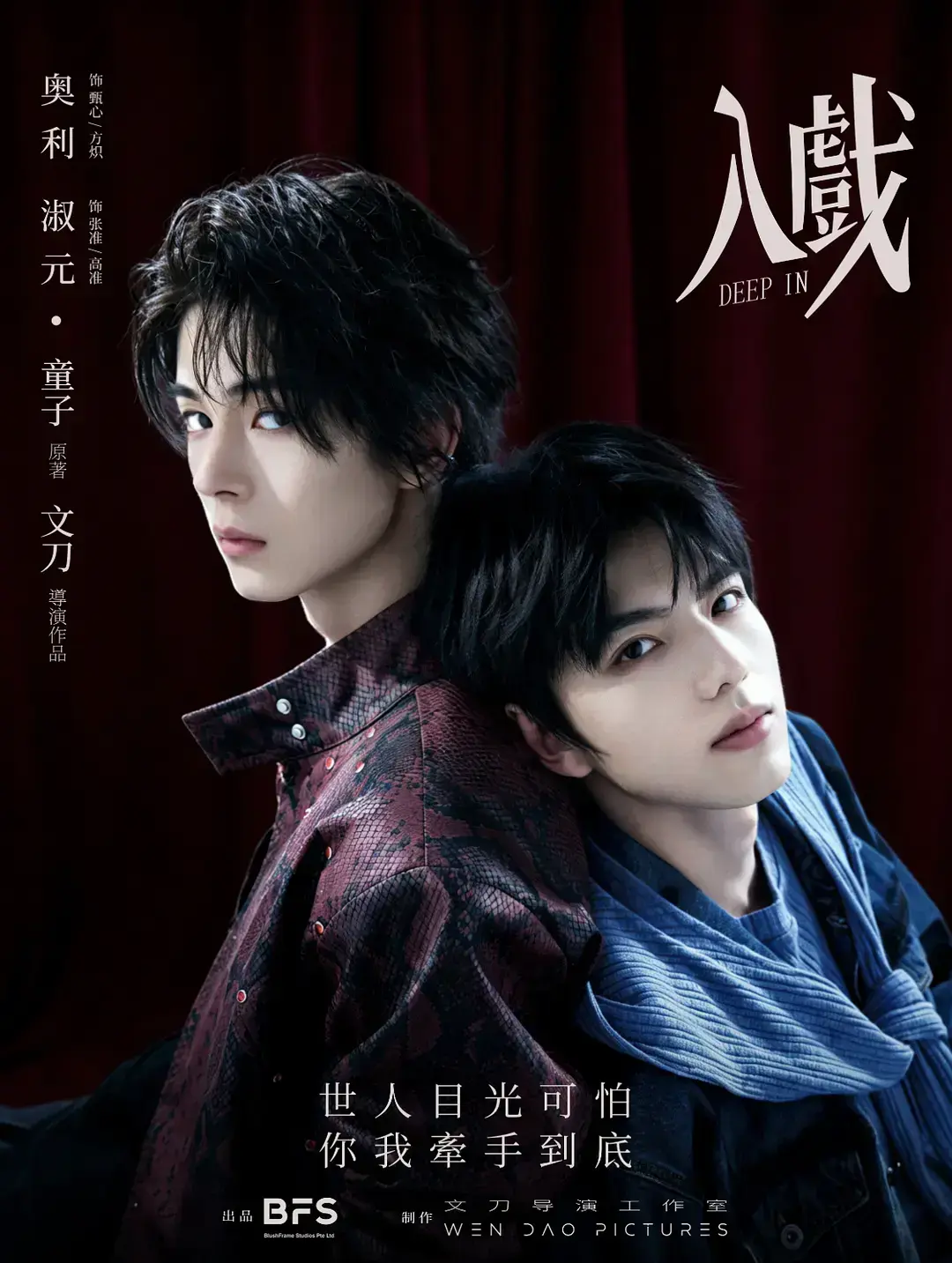 《入戏》双男主剧完整版全季免费在线看-电视剧《入戏》高清1080P无卡顿观看