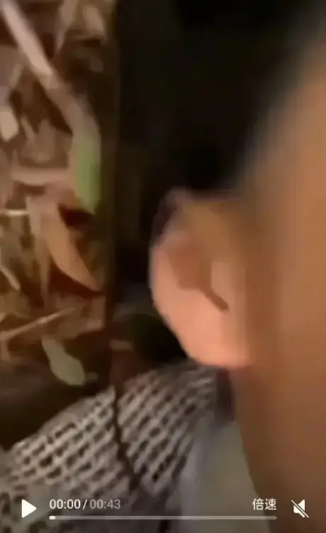 想看《女轻奢事件》？这里有轻奢事件全记录，双人大战、校园轻奢男孩、轻奢二人组情节，1080P高清无广告在线播放！