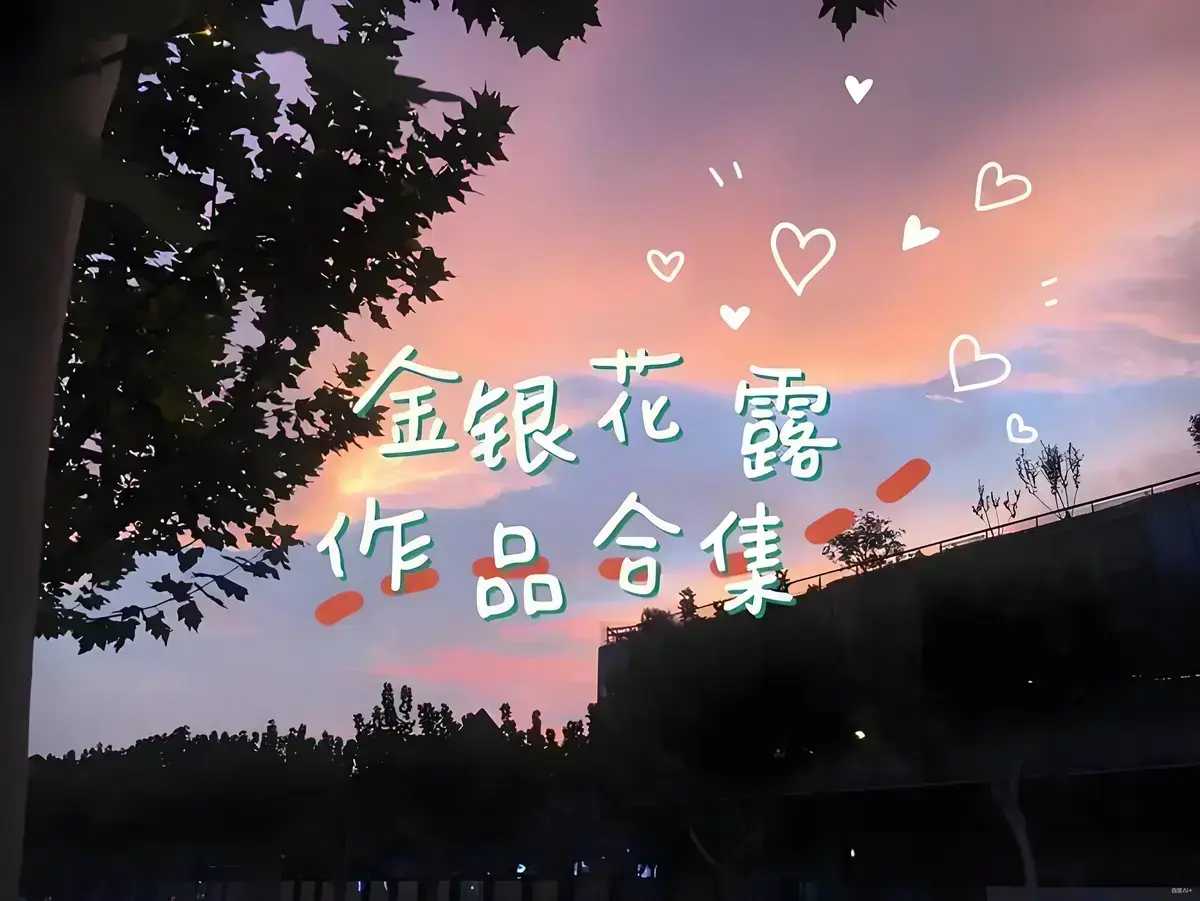 免费获取《金银花露的所有书》资源 - 乐可元素惊喜呈现 - 困苦人生路剧情引人入胜 - 无广告流畅播放